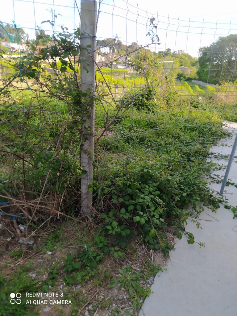 CORÓN, ZONA CERO DE LA&nbsp;PROPAGANDA